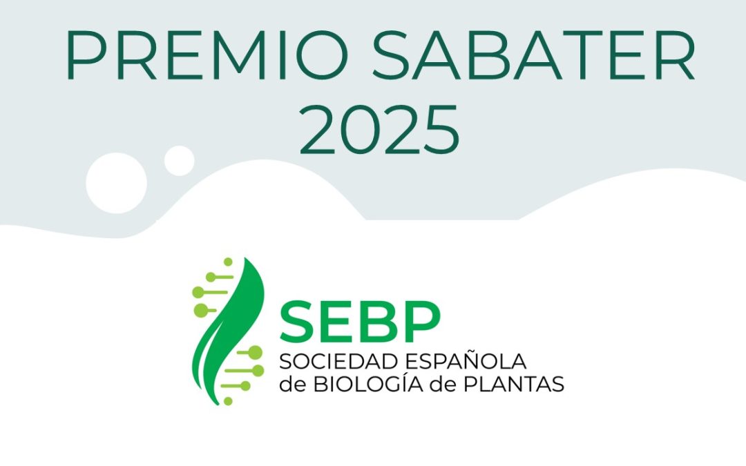 Premio Sabater 2025