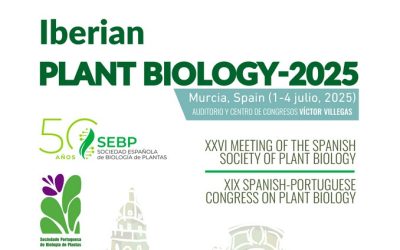 Becas SEBP para asistir al Iberian Plant Biology 2025 en Murcia